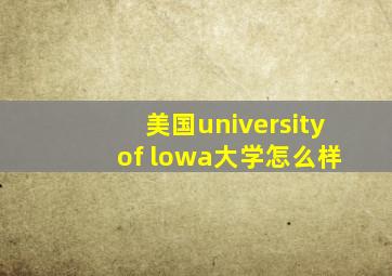 美国university of lowa大学怎么样